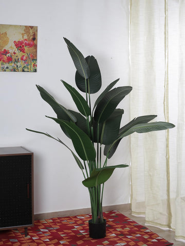 Arickdecor Artificial Traveller's Banana Silk Plant for Home Decor/Office Decor/Gifting | Natural Looking Indoor Plant